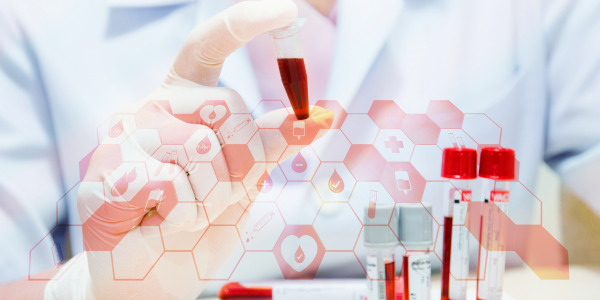 Harvard Major Biology